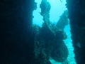 2013 Maldives Dives Web-IMG_4817