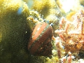 PN101101