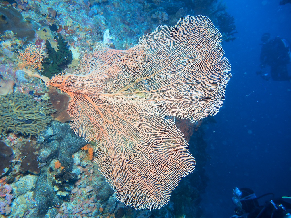 PN160359