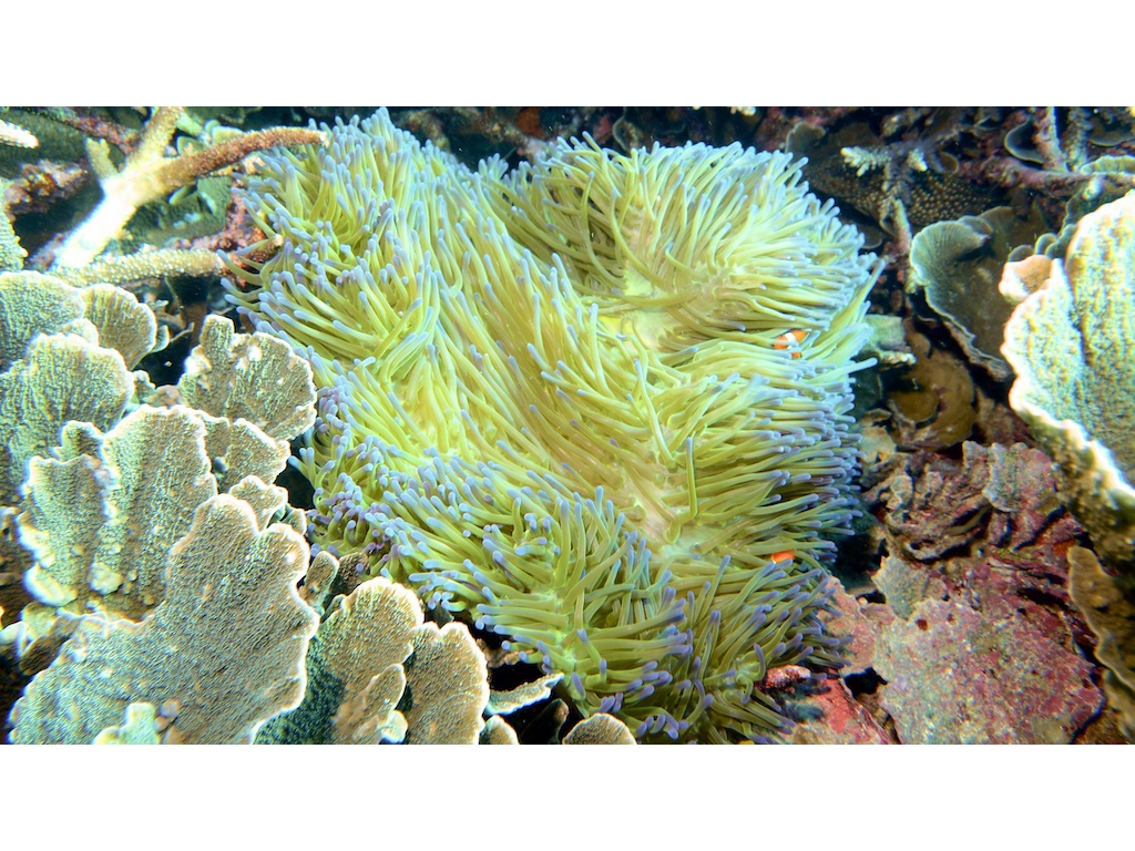 PN160417