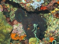 PN111413