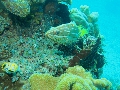 PN140230