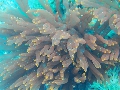 PN170609