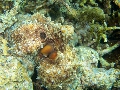 PN180791
