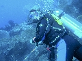 Sel-2020 IND Dives Misool Halmahera PN110073 (1) - 2020-02-11
