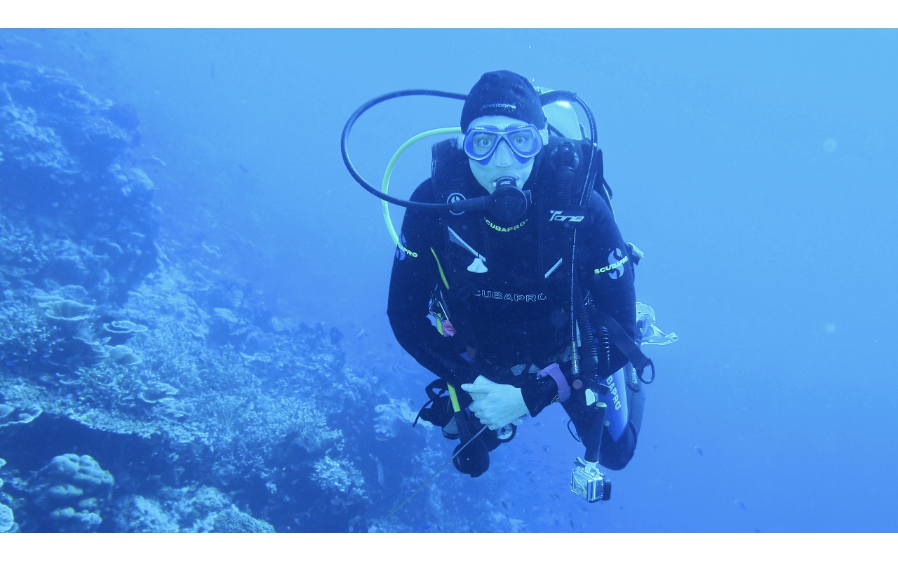 Sel-2020 IND Dives Misool Halmahera PN160711 - 2020-02-16