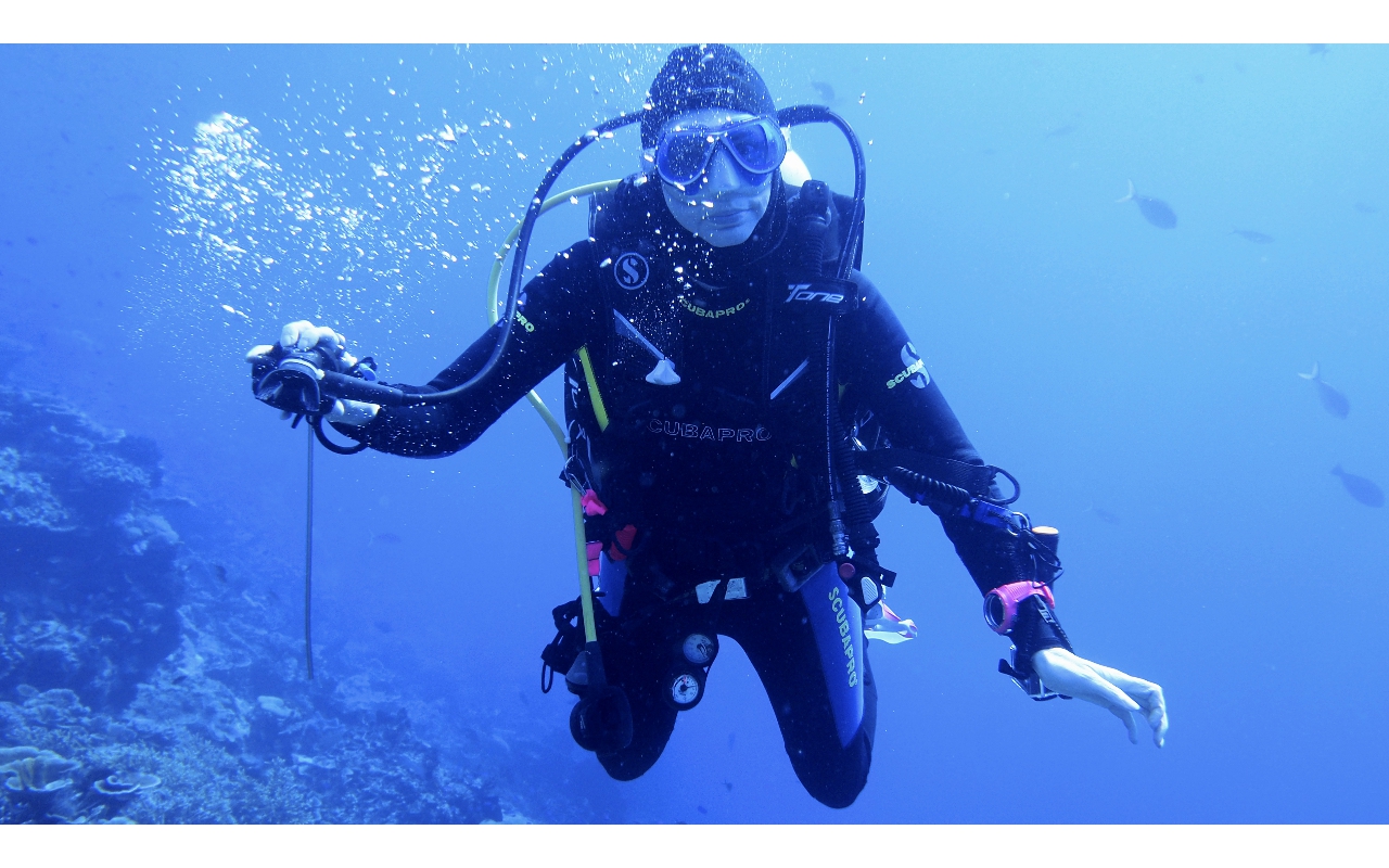 Sel-2020 IND Dives Misool Halmahera PN160712 - 2020-02-16