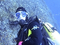 Sel-2020 IND Dives Misool Halmahera PN120235 - 2020-02-12