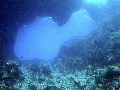 Sel-2020 IND Dives Misool Halmahera PN120309 - 2020-02-12