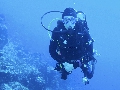 Sel-2020 IND Dives Misool Halmahera PN160711 - 2020-02-16