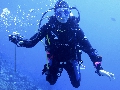 Sel-2020 IND Dives Misool Halmahera PN160712 - 2020-02-16