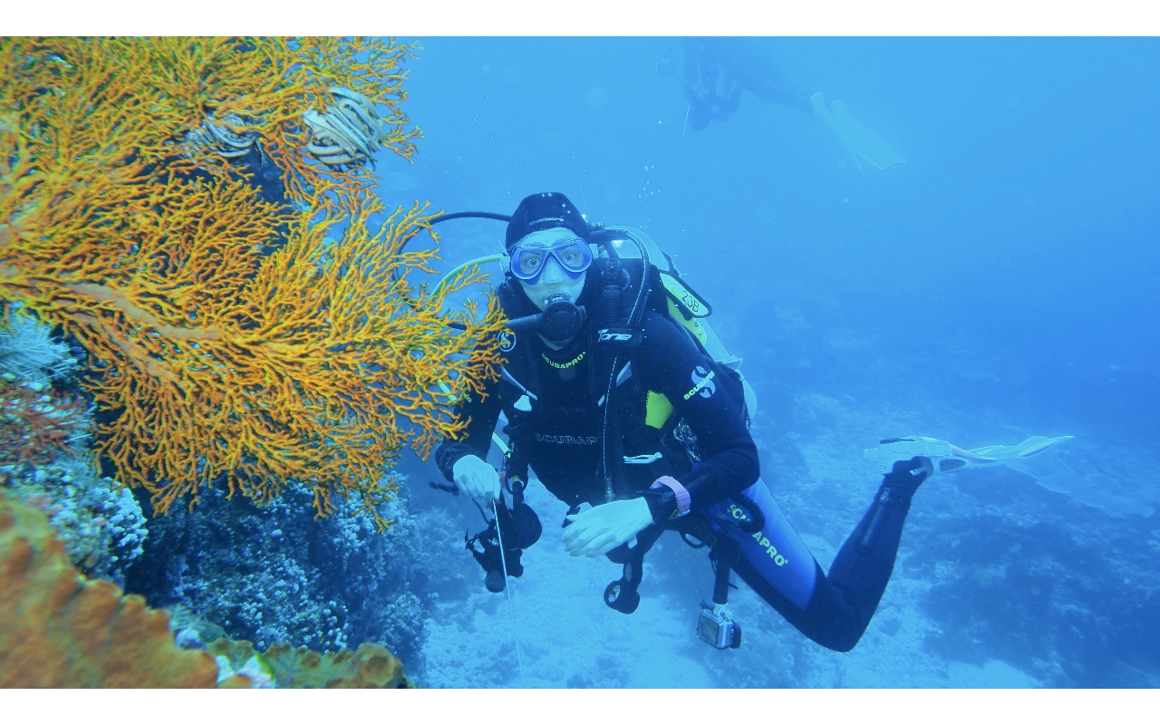 Sel-2020 IND Dives Misool Halmahera PN180319 - 2020-02-18