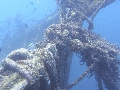 Sel-2020 IND Dives Misool Halmahera PN190444 - 2020-02-19