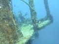 Sel-2020 IND Dives Misool Halmahera PN190446 - 2020-02-19