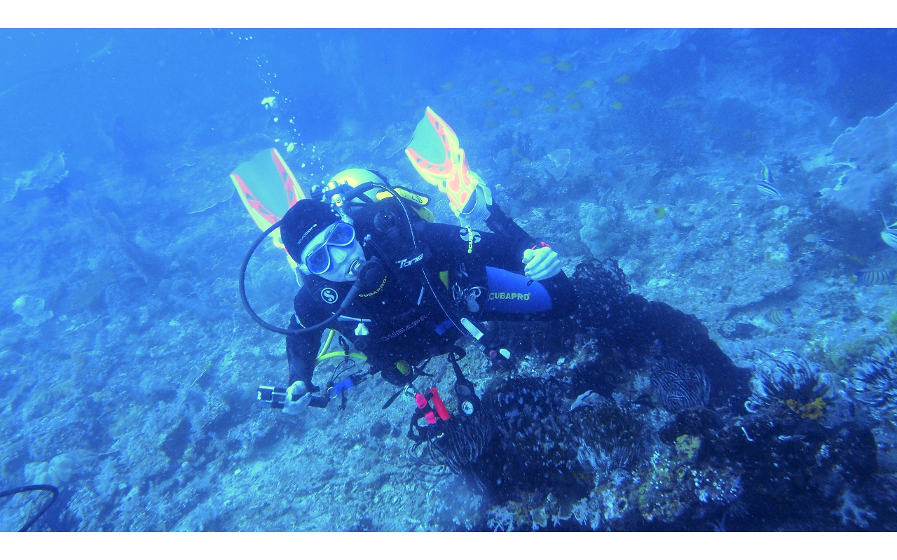 Sel-2020 IND Dives Misool Halmahera PN120153 - 2020-02-12