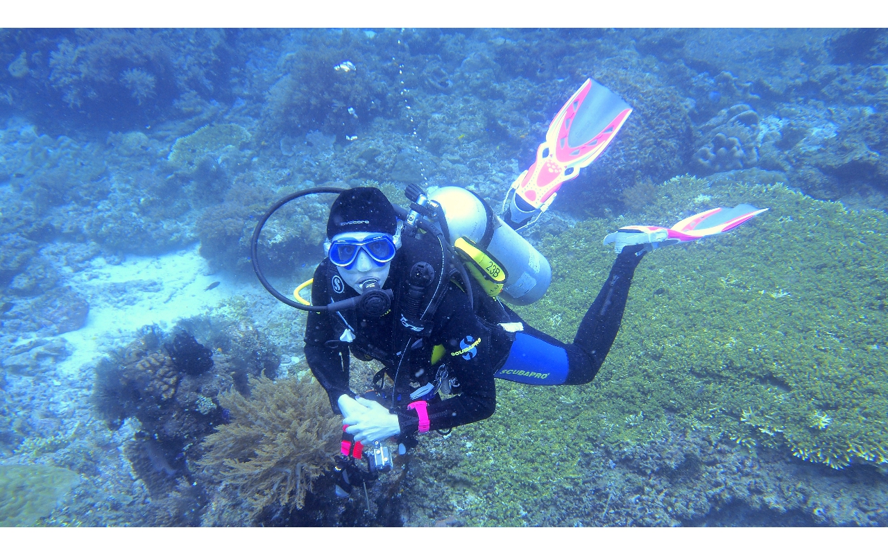 Sel-2020 IND Dives Misool Halmahera PN120205 - 2020-02-12