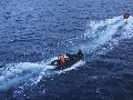 OW-2020 IND Dives Misool Halmahera EP515433 - 1970-01-01