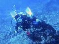 Sel-2020 IND Dives Misool Halmahera PN120153 - 2020-02-12