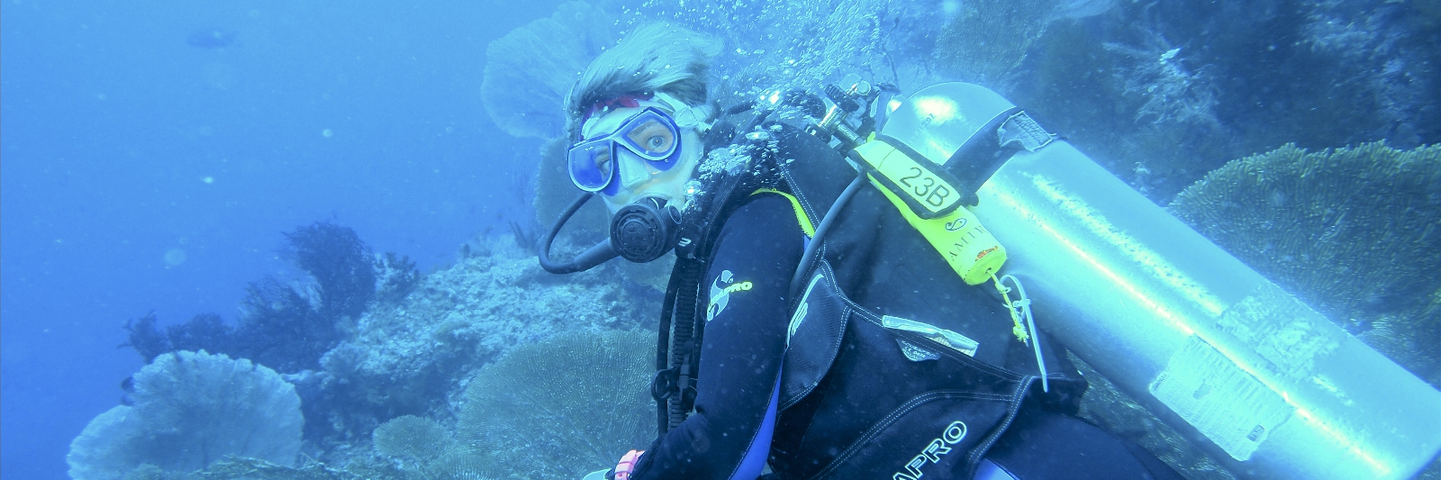 2020 IND Dives Misool Halmahera PN110073 (1) - 2020-02-11