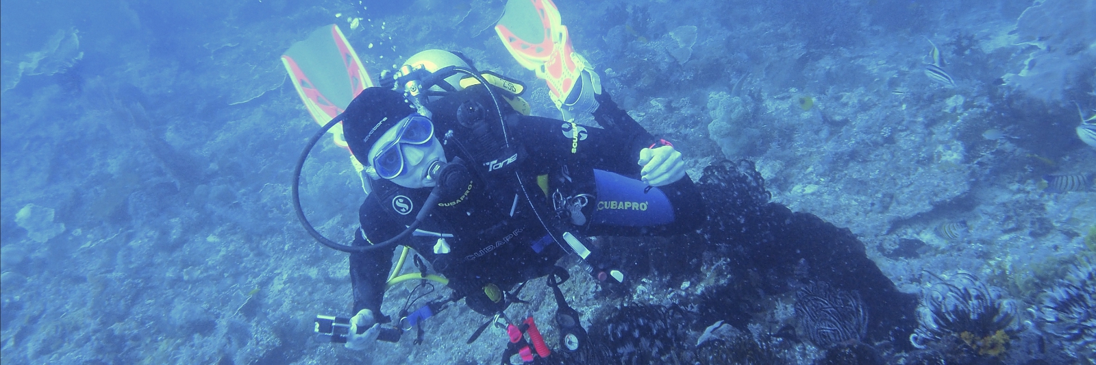 2020 IND Dives Misool Halmahera PN120153 - 2020-02-12