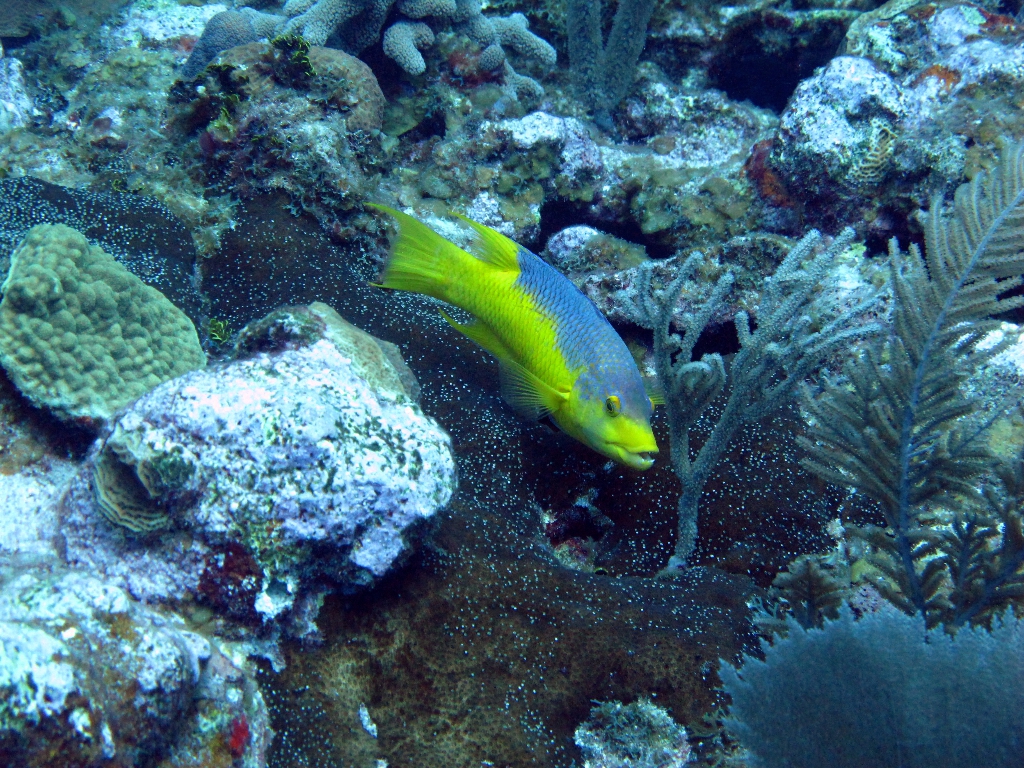 IMG_0507