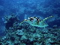 IMG_0260 (1)