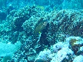 IMG_0280