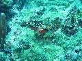 IMG_0297