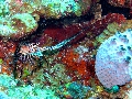 IMG_0432