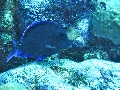 IMG_0458