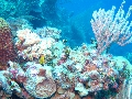 IMG_0106