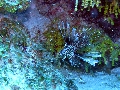 IMG_0110