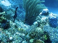 IMG_0114 (1)
