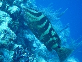 IMG_0153 (1)
