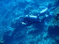 IMG_0174