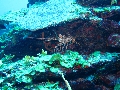 IMG_0181