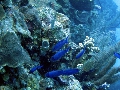 IMG_0181 (1)