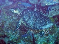 IMG_0186