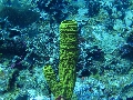 IMG_0686