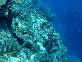 IMG_0689