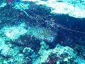 IMG_0700