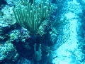 IMG_0712