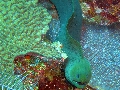 IMG_0599