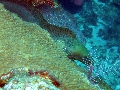 IMG_0600
