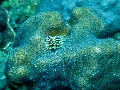 IMG_0617