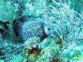 IMG_0620