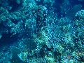 IMG_0652