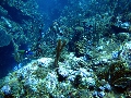 IMG_0654