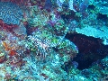 IMG_0661