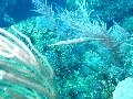 IMG_0664